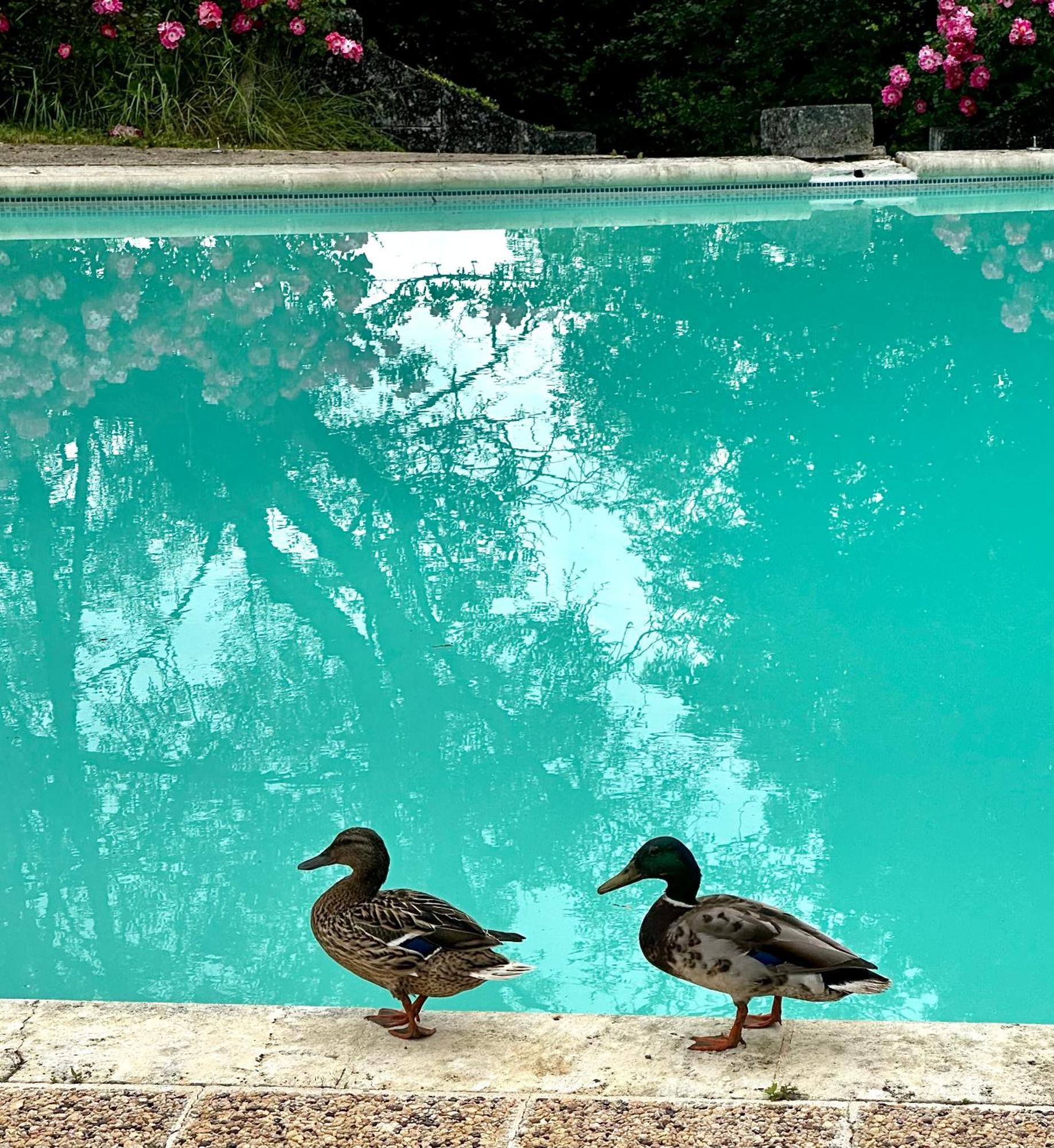 Le Chatenet 1689 Brantôme المظهر الخارجي الصورة